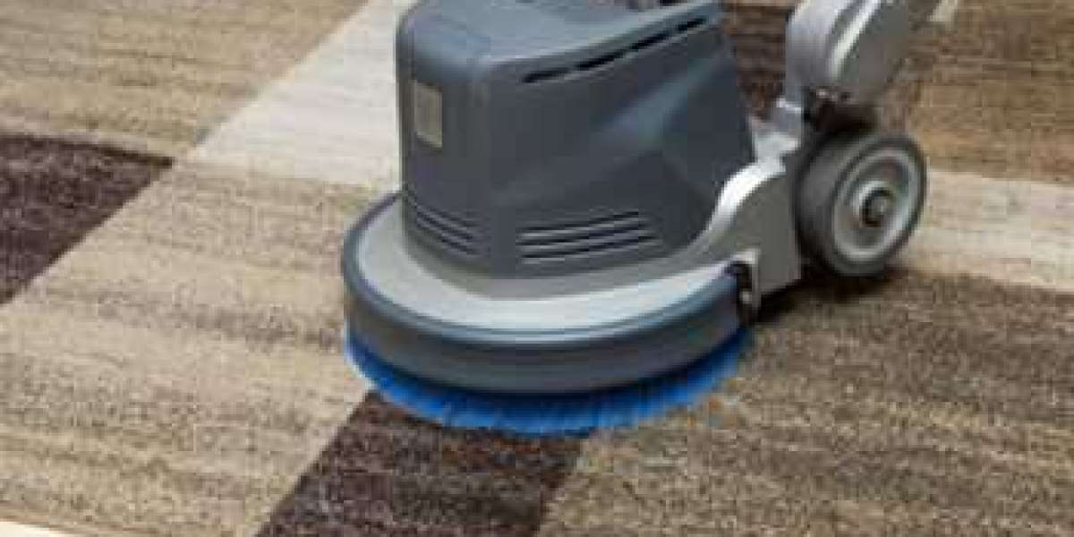 How Professional Carpet Cleaning Enhances Living Comfort