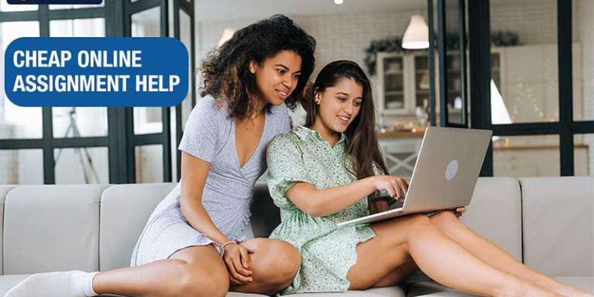 Are You Looking for Assignment Help in Ireland?