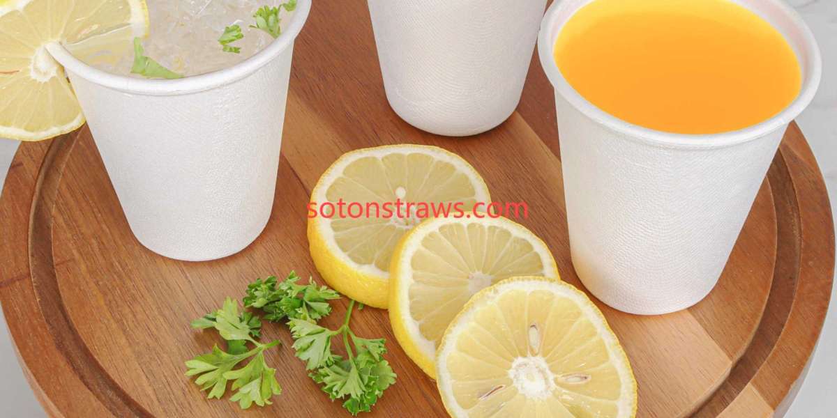 Soton's Equitable Approach to Disposable Paper Cups